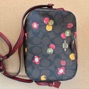 Coach Ornament Bag